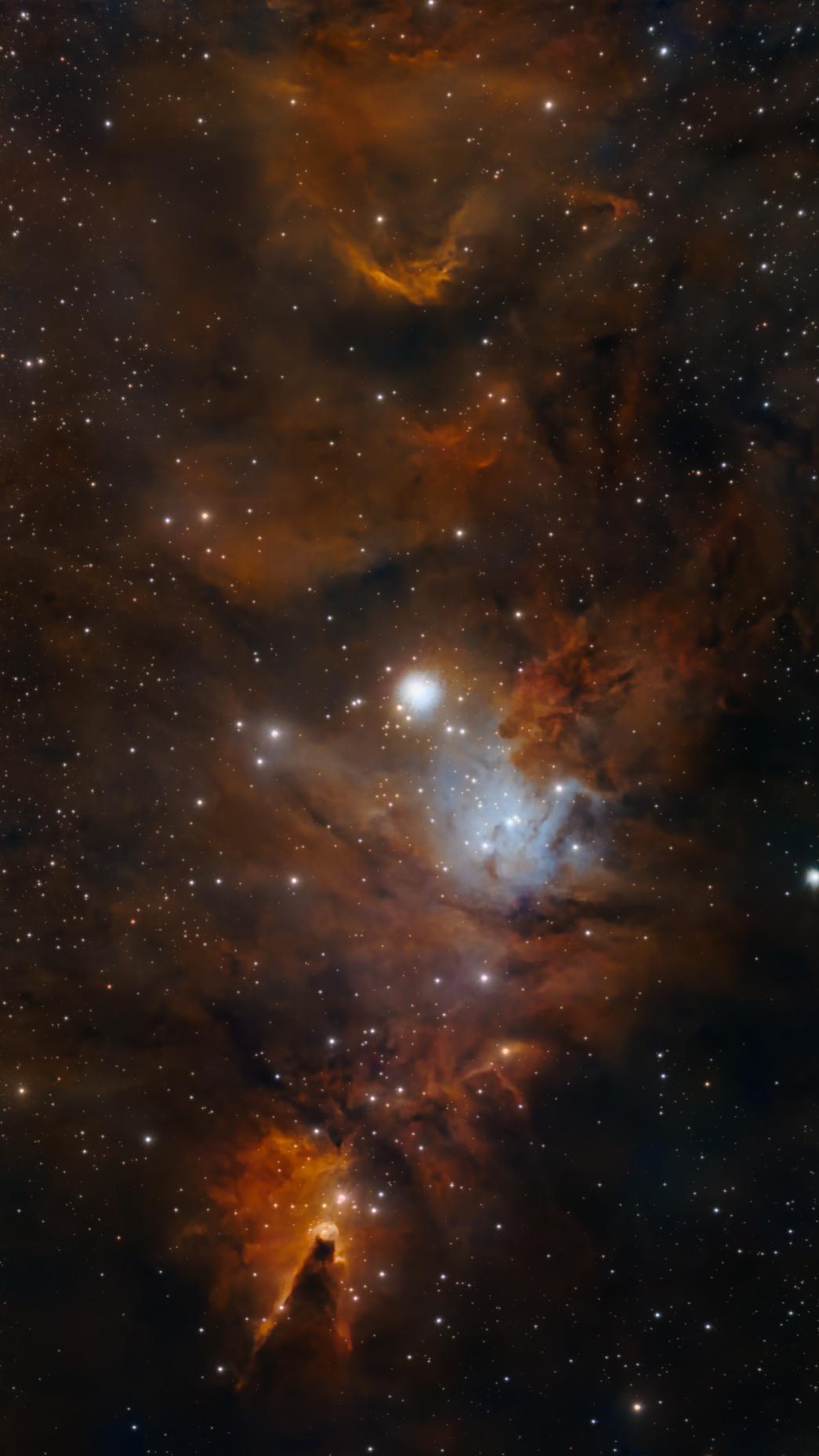 NGC2264_1192x10s_final.jpg